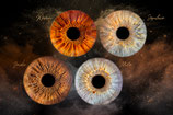 Photographie d' iris en quatuor