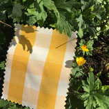 kappa check 31 yellow