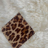 leopardo 01 desert