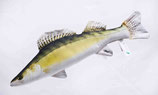 Gaby "The Zander / Walleye Pillow" / Der Zander 77cm - Plüschtier / Dekorations-Kissen