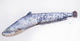Gaby "The Small Catfish Pillow" / Der europäische Wels 62cm - Plüschtier / Dekorations-Kissen
