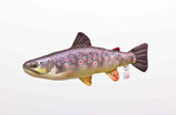 Gaby "The Mini Brown Trout Pillow" / Die Bachforelle 35cm - Plüschtier / Dekorations-Kissen