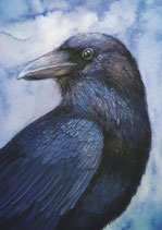 raven