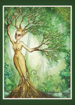 dryad