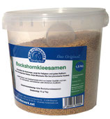 Bockshornkleesamen