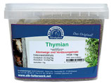 Thymian