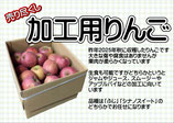 【3㎏】加工用りんご（12個前後）