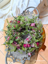 霧の向こうのバラリース