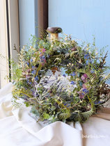 マリンスノー　リース