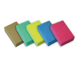 Grosser Allzweckchwamm