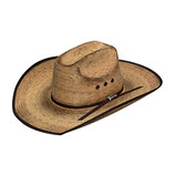 Alamo Hat Palm
