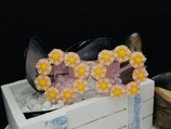 SommerSonnenbrille BÄMS " Daisy " 1