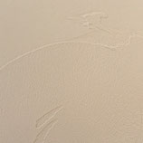 オーガニックウォール１箱