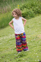 Allegro Multicolor Boy Pants