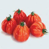 tomate borsalina