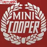 KIT ADESIVI MINI COOPER BIANCO