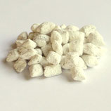 GARDENIA