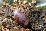 Shiva´s Wüstenrose