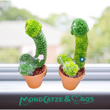 gehäkelter Penis - Kaktus im Blumentopf