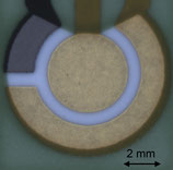 A-AD-GG-101-H- (Macro) Micro-Molar to Milli-Molar Hydrogen Peroxide Sensor