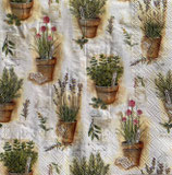 SI29中　　F57-1　L989400　Herbs in pots　再入荷