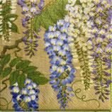 SI5　C602　10580L  Wisteria