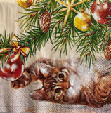 SPX小3　X38   C1094960   CHISTMAS CAT