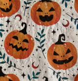 ﾊﾛｳｲﾝ中　F94　SDL241700  Mystic Pumpkin  Patch
