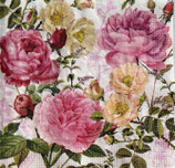 SP小8　F43   125003303  Rosalie