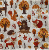 SI27中　　F74　SD-OG042001   WoodlandAnimals