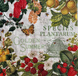 SI28中　　F16　　212604   Summer Fruits