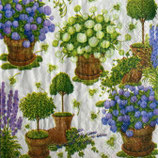 SI5　C602　18390L　POTTED HYDRANGEAS