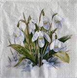 SI28中　　F62　　13320490　  Bloomig snowdrops