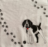 SI27中　F108-1　　　133002963   Atelier Chiens