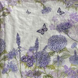 SI28中　　F07　　13309310　　Purple wildflowers