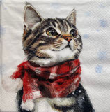 X'mas10中  　X36  310746 Katie