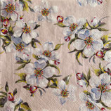 SI27中　F05　　212518　Spring Bloom