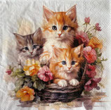 SI28中　　F110　　13320395　　Kittens in basket