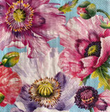 SI27中　F55　L1073049  GRACEFUL POPPY　再入荷