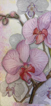 213  *5-7700　Orchids Lilac