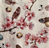 SI27中　F05       L1068760  BEAUTIFUL SAKURA