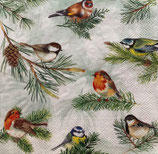 SI28中　　F67-1　　L1087220  CHARMING BIRDS