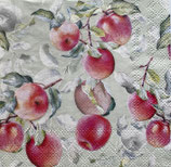 SP小8　F17　12515630　Fresh apples green