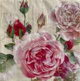 SP小9　F44　C541390  Tea Rose 　再入荷
