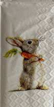 208    　 PT254102619　　Rabbit＆Carrot
