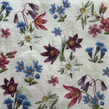 SI27中　F20     L1076820  ALPINE FLOWERS