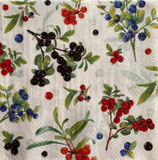 SI27中　F13      L1077660   FRESH SUMMER BERRIES
