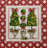 RBI中　F107-１  L1090510  HOLLY TOPIARY　ローザンヌベック