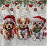 X'mas9中  　X41　　33320090　　Funny cute puppies