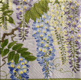CＡ小　C602　　10581C　Wisteria